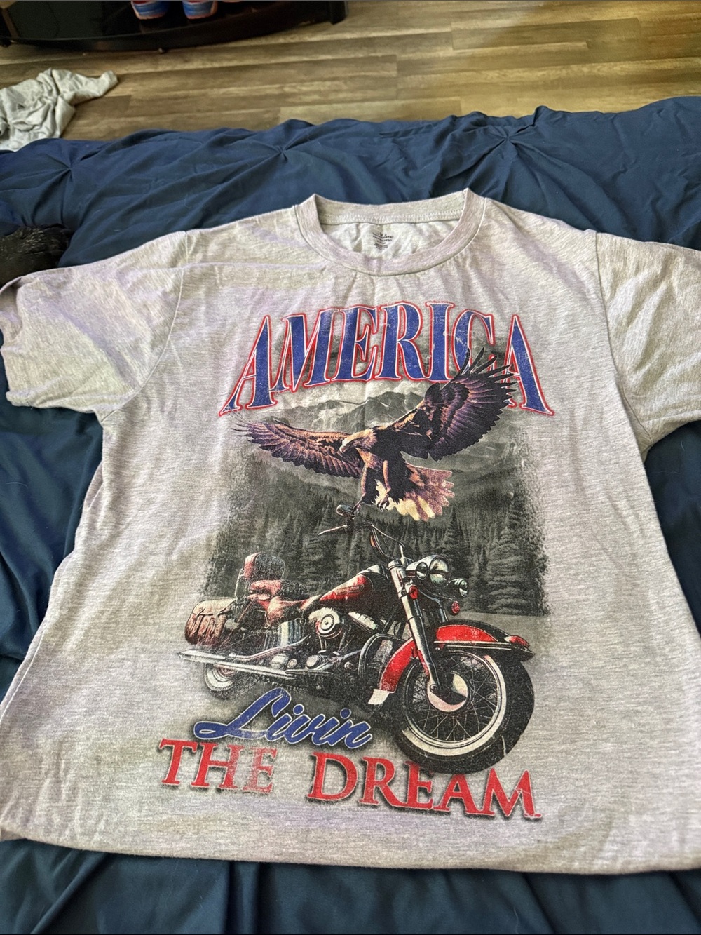 America Graphic Tee - Grey "Livin' The Dream"